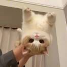 秒的头像